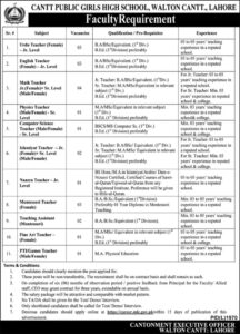 Cantt Public High School Girls College Jobs 2024| Online Apply